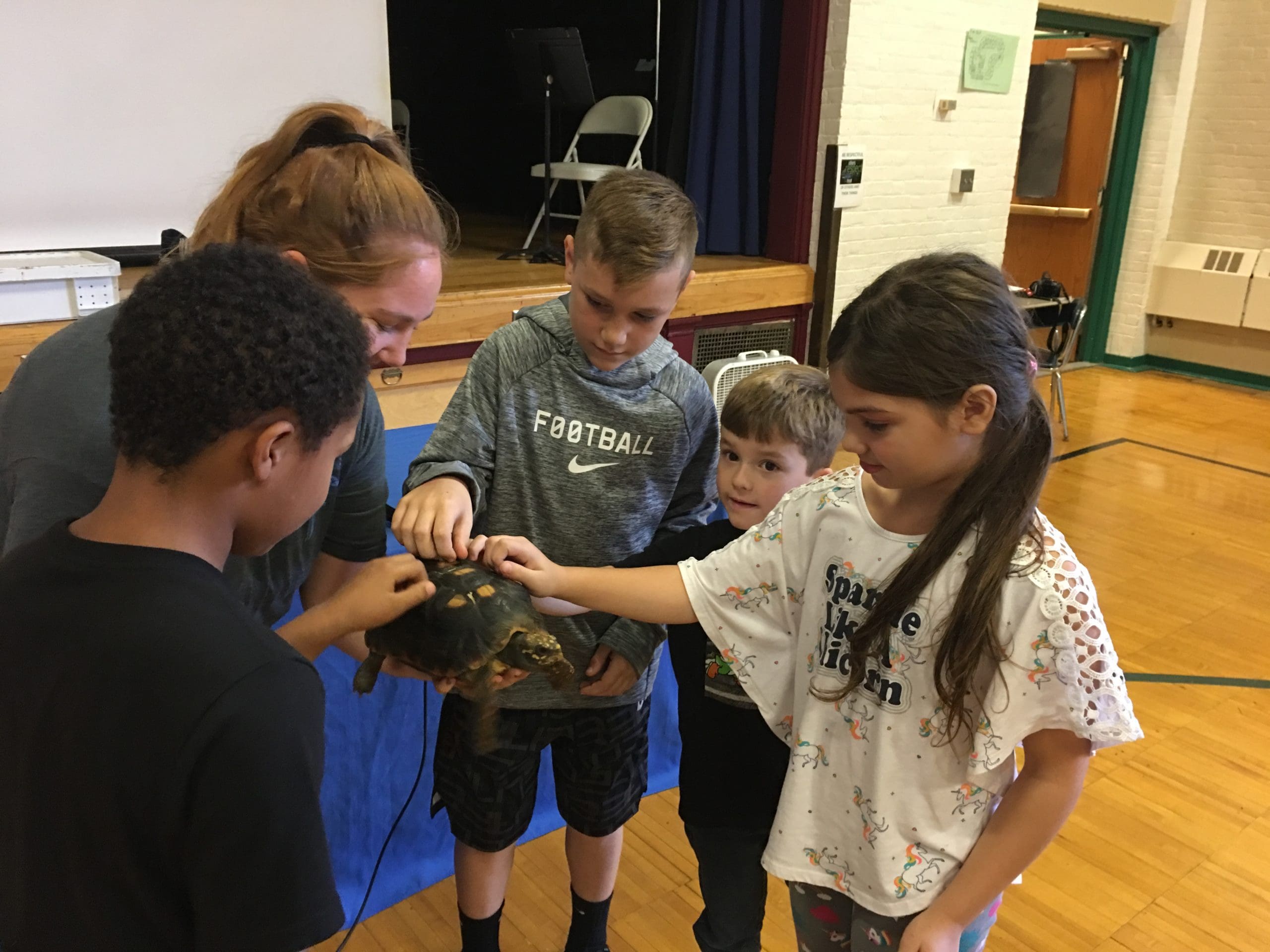 students pet an animal
