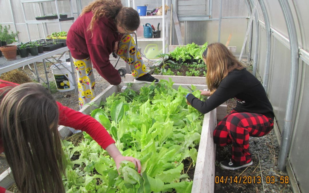 Horticulture Students Learn Seed Saving; Harvest Food for Cafeterias