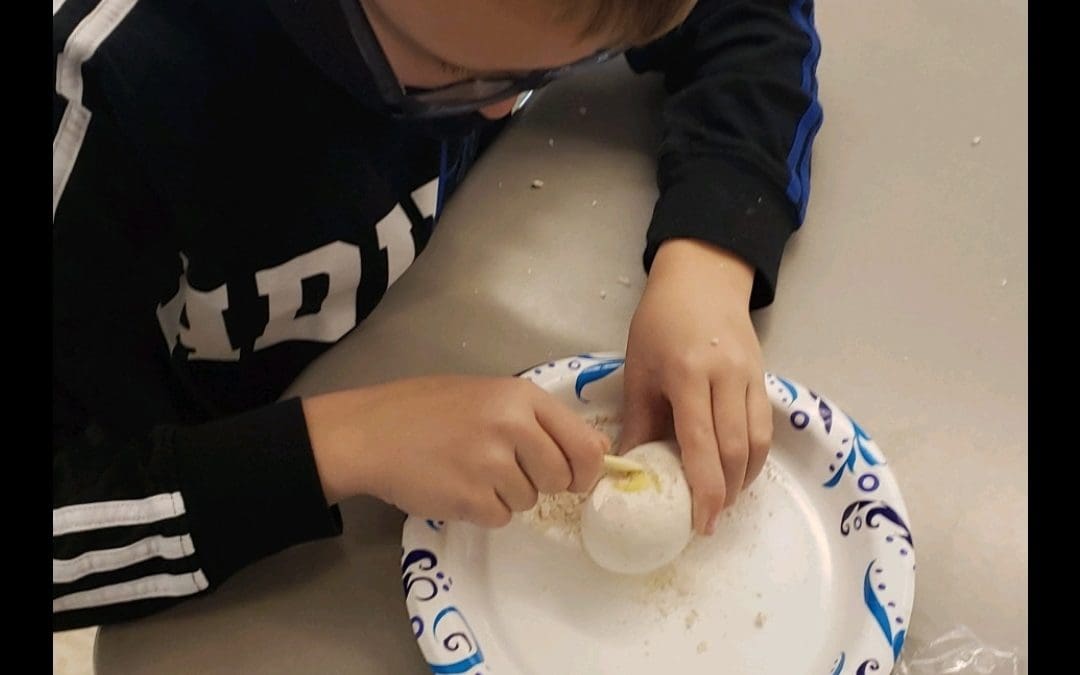 Students Learn to be Paleontologists