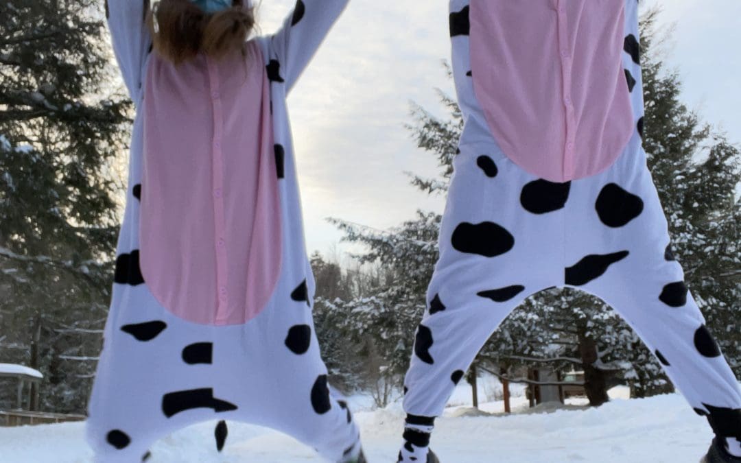 students dressed as cows