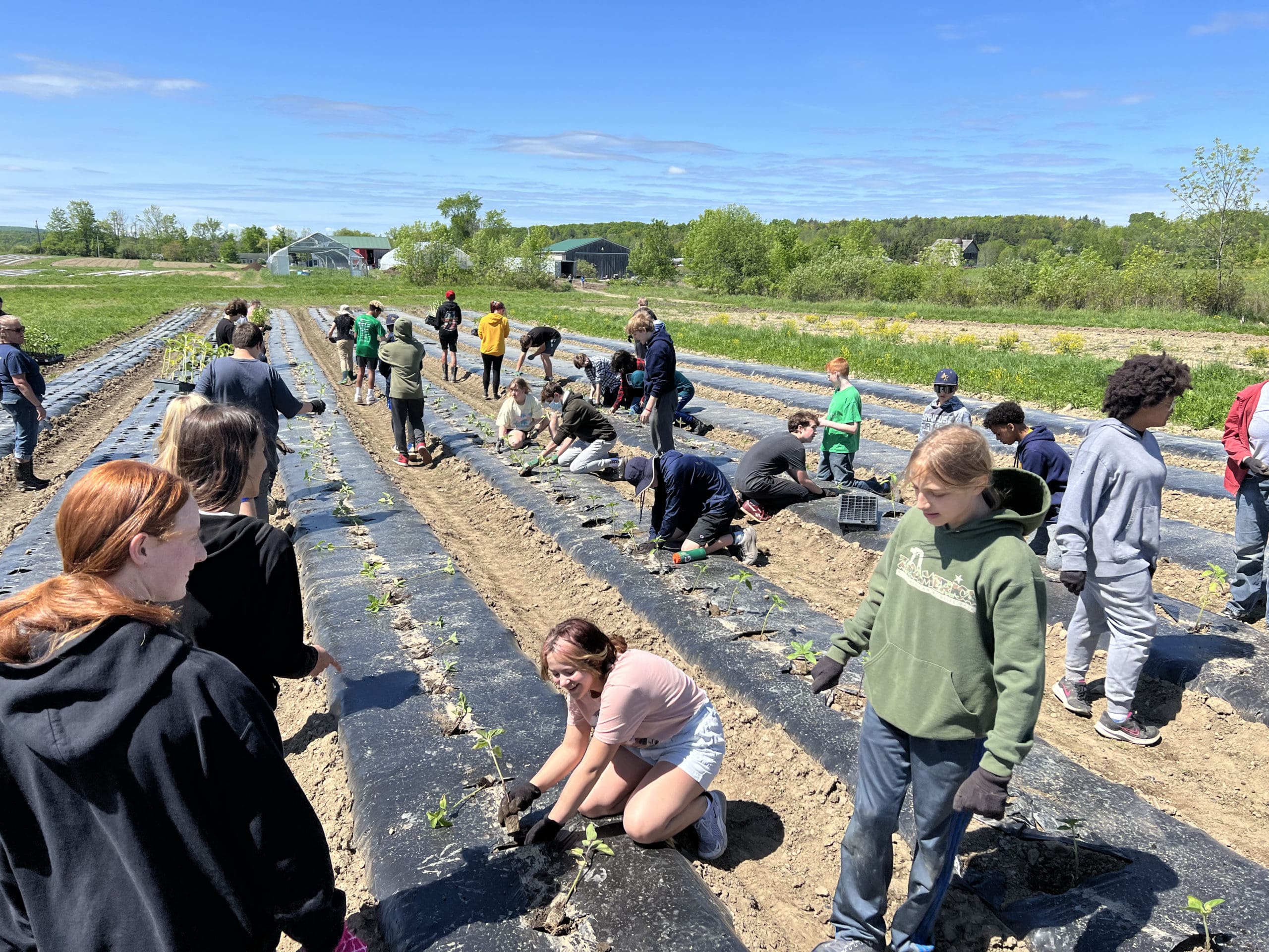students working on the farm